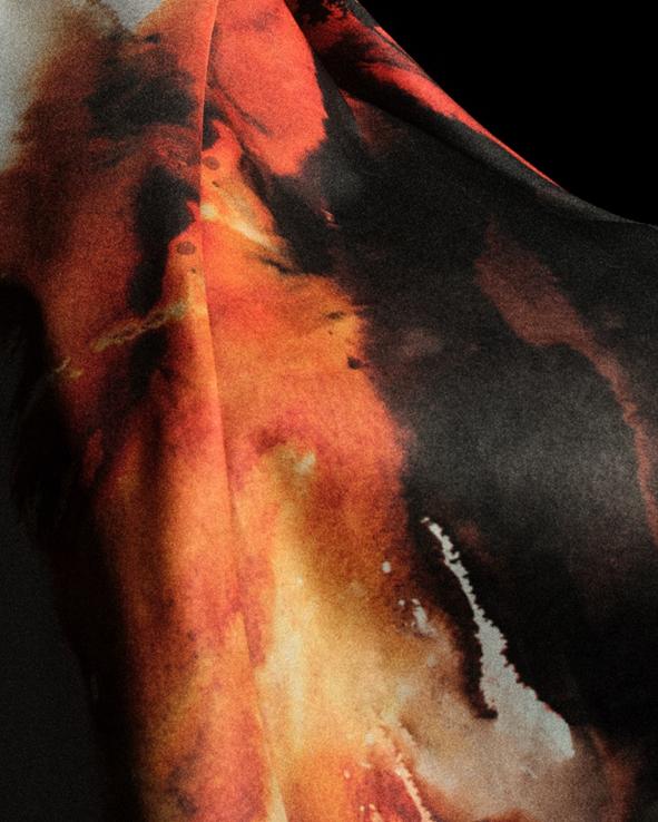 西王未来发 西王未来发